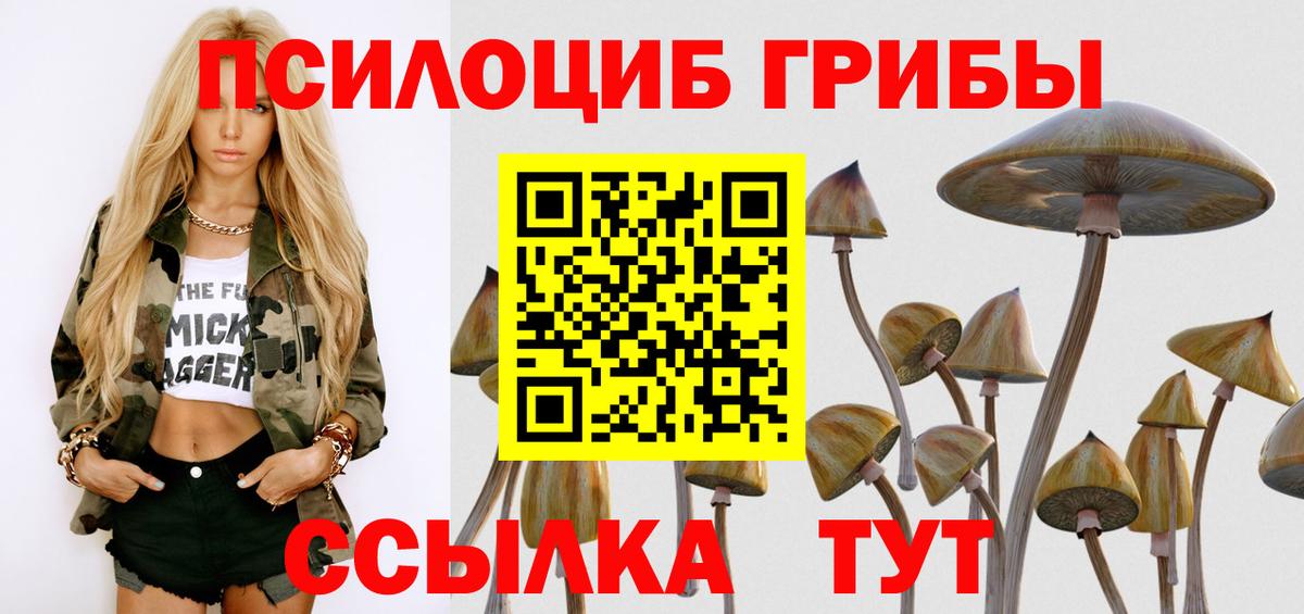 Псилоцибиновые грибы мухоморы Кисловодск