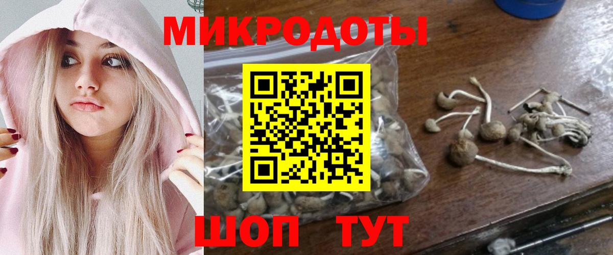 Кисловодск  Галлюциногенные грибы Magic Shrooms  Вход с VPN 