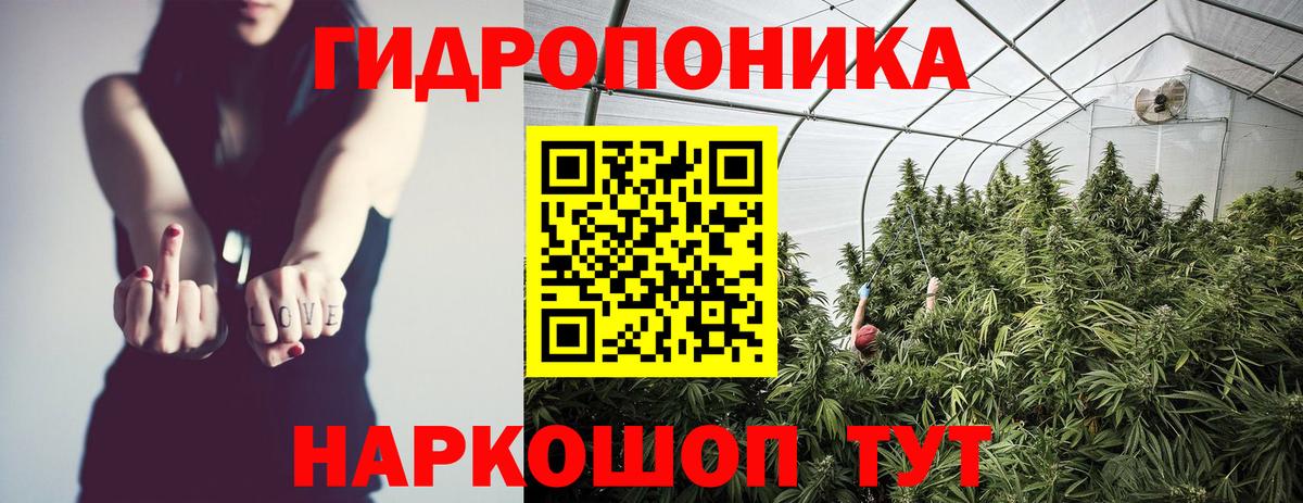МАРИХУАНА тримм  МАРИХУАНА Ganja  Кисловодск  Вход с VPN  Каннабис конопля 